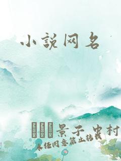 小说网名