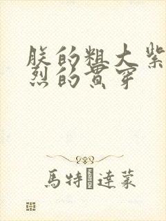 朕的粗大紫红猛烈的贯穿