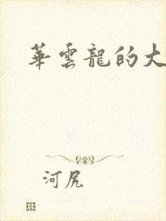 华云龙的大宝贝