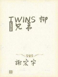 TWINS 柳澤兄弟