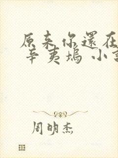 原来你还在这里 辛夷坞 小说