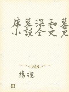 席慕深和慕清泠小说全文免费阅读