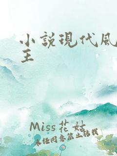 小说现代风流霸主