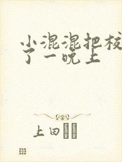 小混混把校草C了一晚上