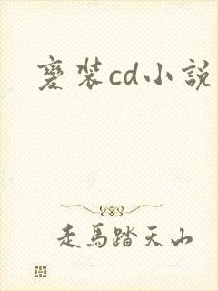 变装cd小说