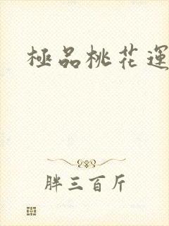 极品桃花运下载