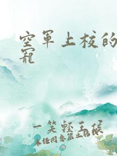 空军上校的邪魅宠