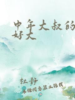 中年大叔的包包好大