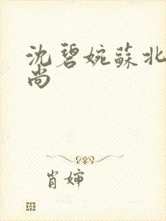 沈碧婉苏北宸和尚