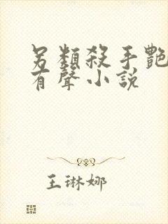 另类杀手艳福星有声小说