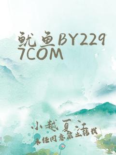 鱿鱼BY2297COM