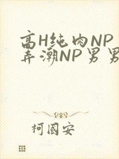 高H纯肉NP 弄潮NP男男