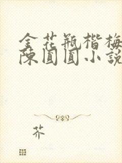 金花瓶楷梅花2陈圆圆小说