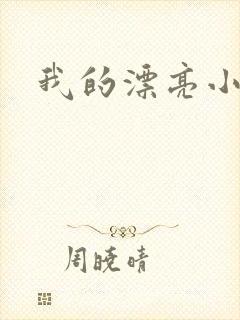 我的漂亮小后妈