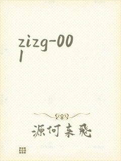zizg-001
