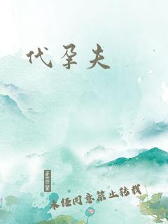 代孕夫