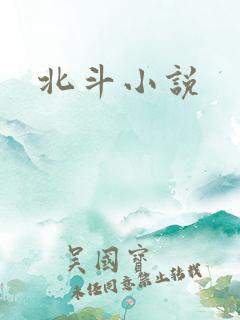 北斗小说