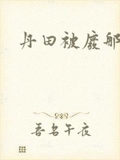 丹田被废那些年