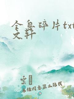 全息碎片txt文轩