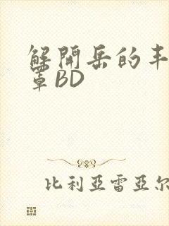 解开岳的丰满奶罩BD