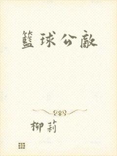 篮球公敌