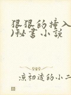 狠狠的撞入(h)秘书小说