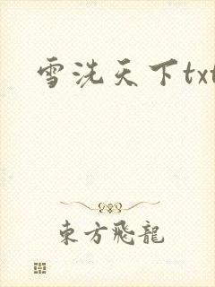 雪洗天下txt