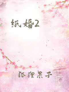 纸婚2