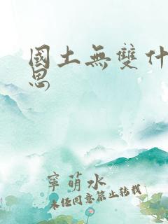 国土无双什么意思