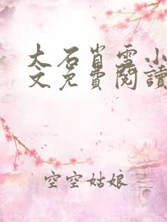 大石肖雪小说全文免费阅读