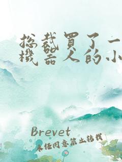 总裁买了一个男机器人的小说