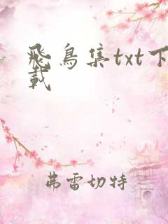 飞鸟集txt下载