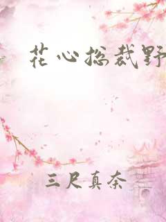 花心总裁野蛮妻