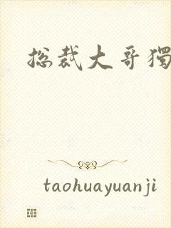 总裁大哥独宠妻