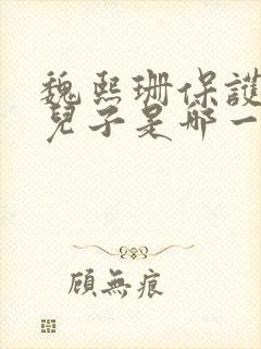 魏熙珊保护萧峥儿子是哪一集