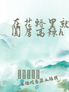 在花轿里就开始圆房高辣h