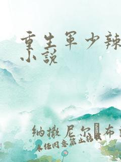 重生军少辣娇妻小说
