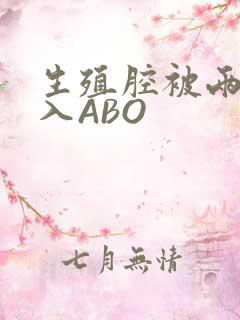 生殖腔被两根进入ABO