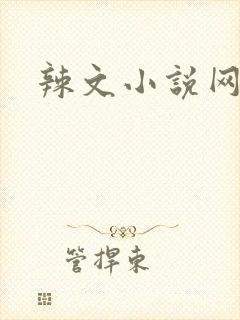 辣文小说网