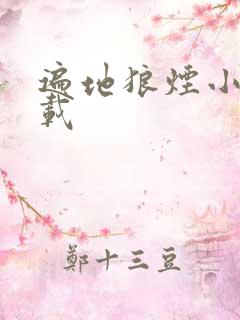 遍地狼烟小说下载