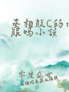 丞相朕C的你舒服吗小说