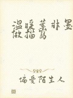 温暖叶非墨车内做描写