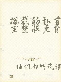 总裁的私有宝贝完整版免费阅读