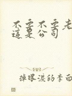 不要不要老板别这是公司