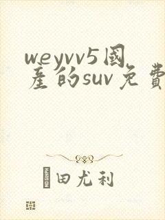 weyvv5国产的suv免费