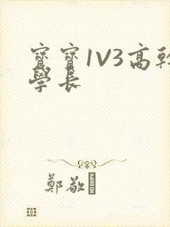 宝宝1V3高干学长