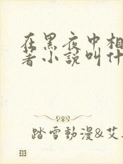 在黑夜中相拥原著小说叫什么