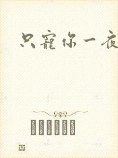 只宠你一夜