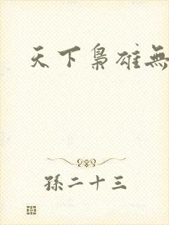 天下枭雄无弹窗