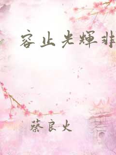 容止光辉非世人